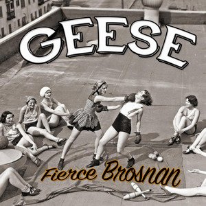 Geese concert at Royal Highland Centre, Edinburgh on 26 August 2022