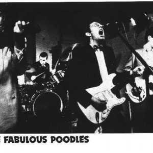 The Fabulous Poodles concert at RingCentral Coliseum, Oakland on 31 December 1979