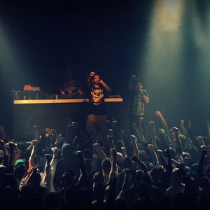 Swollen Members concert at Fowlers Live, Adelaide on 27 September 2014