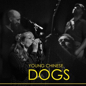 Young Chinese Dogs