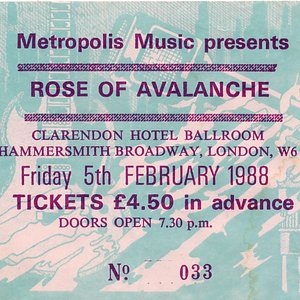 Rose Of Avalanche