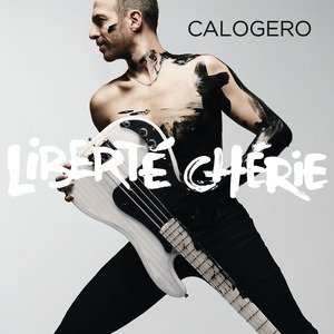 Calogero concert at Le Liberté, Rennes on 08 November 2014