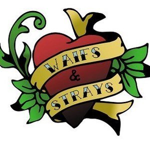 Waifs And Strays concert at Lower Exe Farm, Bude on 28 July 2017