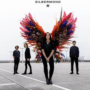 Silbermond concert at TUI Arena, Hannover on 24 January 2020